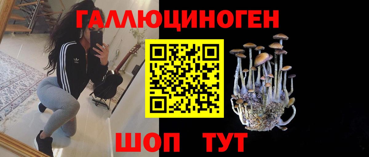 Галлюциногенные грибы Psilocybine cubensis Ногинск