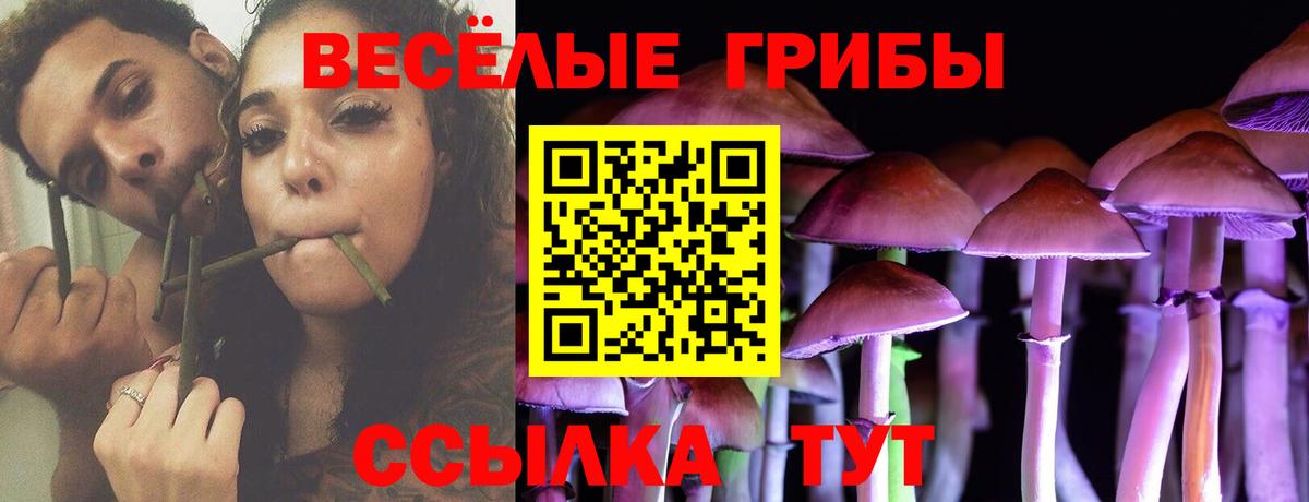 Псилоцибиновые грибы ЛСД  Вход с VPN  Ногинск 